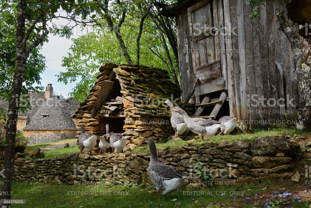 Studio2 Fontaine De L'Amour Sarlat-la-Canéda Exteriér fotografie